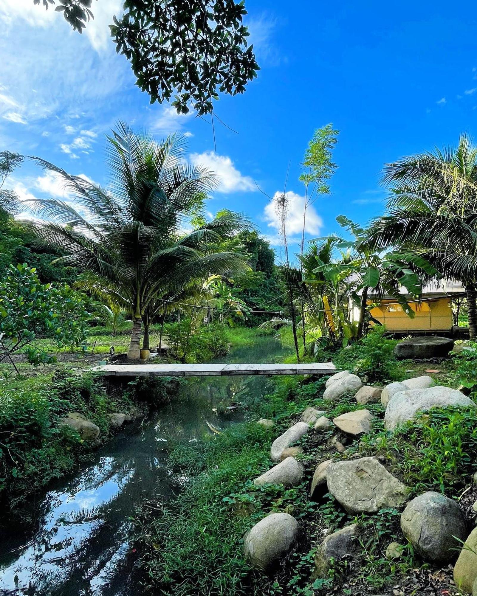 Con Dao Backpacker - Loco Camping Chi Khu Co Ong Экстерьер фото