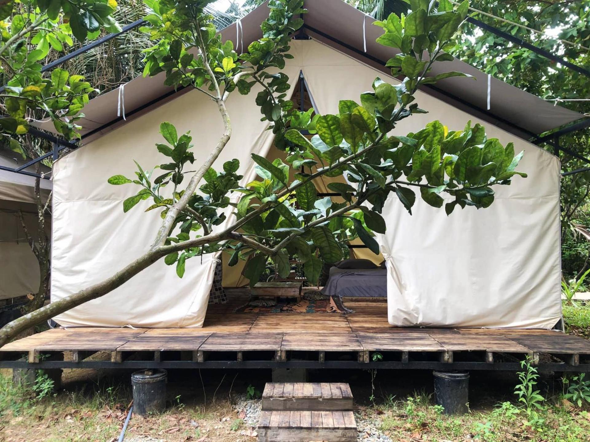 Con Dao Backpacker - Loco Camping Chi Khu Co Ong Экстерьер фото